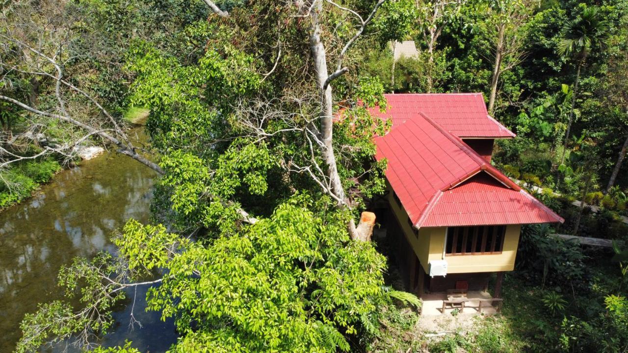 アーツ リバービュー ロッジ Khao Sok National Park エクステリア 写真