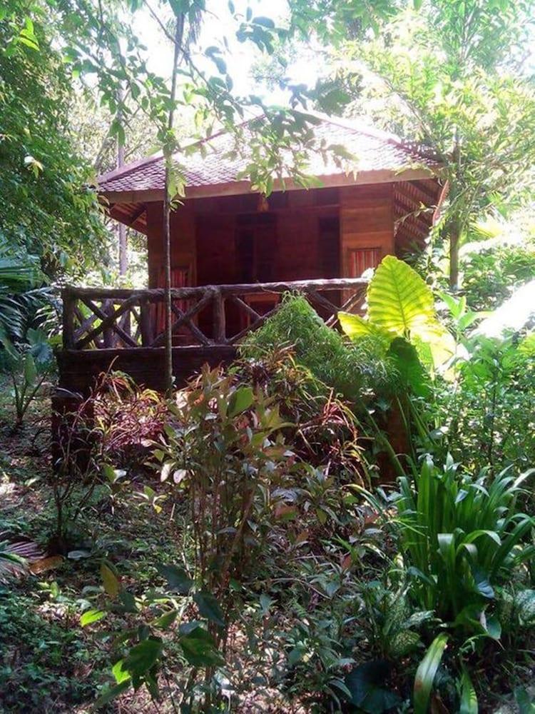 アーツ リバービュー ロッジ Khao Sok National Park エクステリア 写真