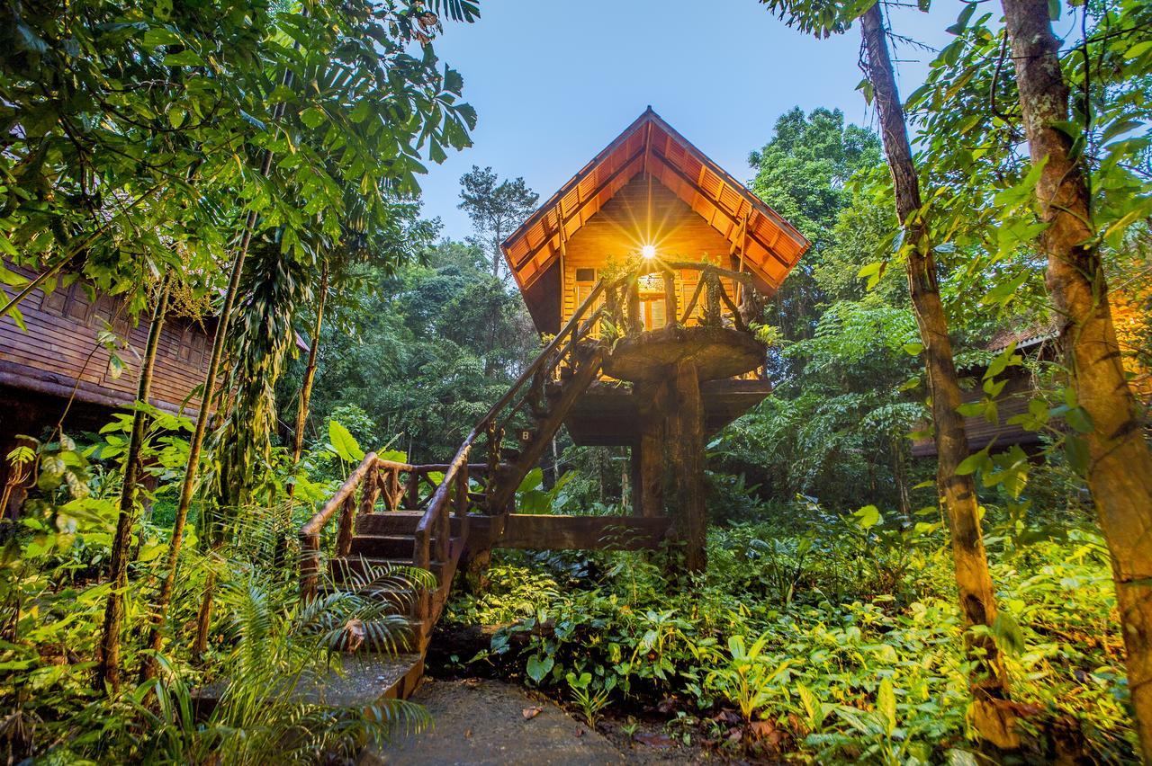 アーツ リバービュー ロッジ Khao Sok National Park エクステリア 写真