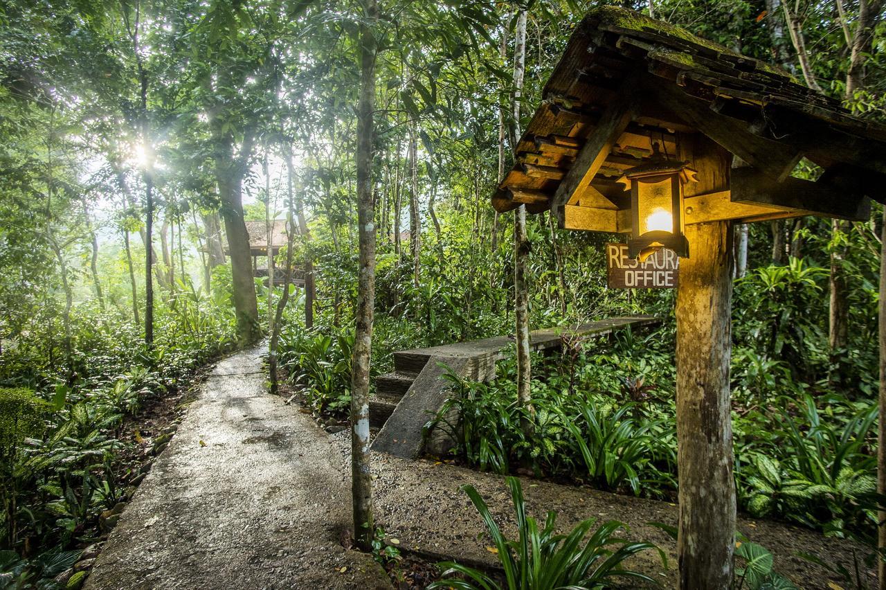 アーツ リバービュー ロッジ Khao Sok National Park エクステリア 写真