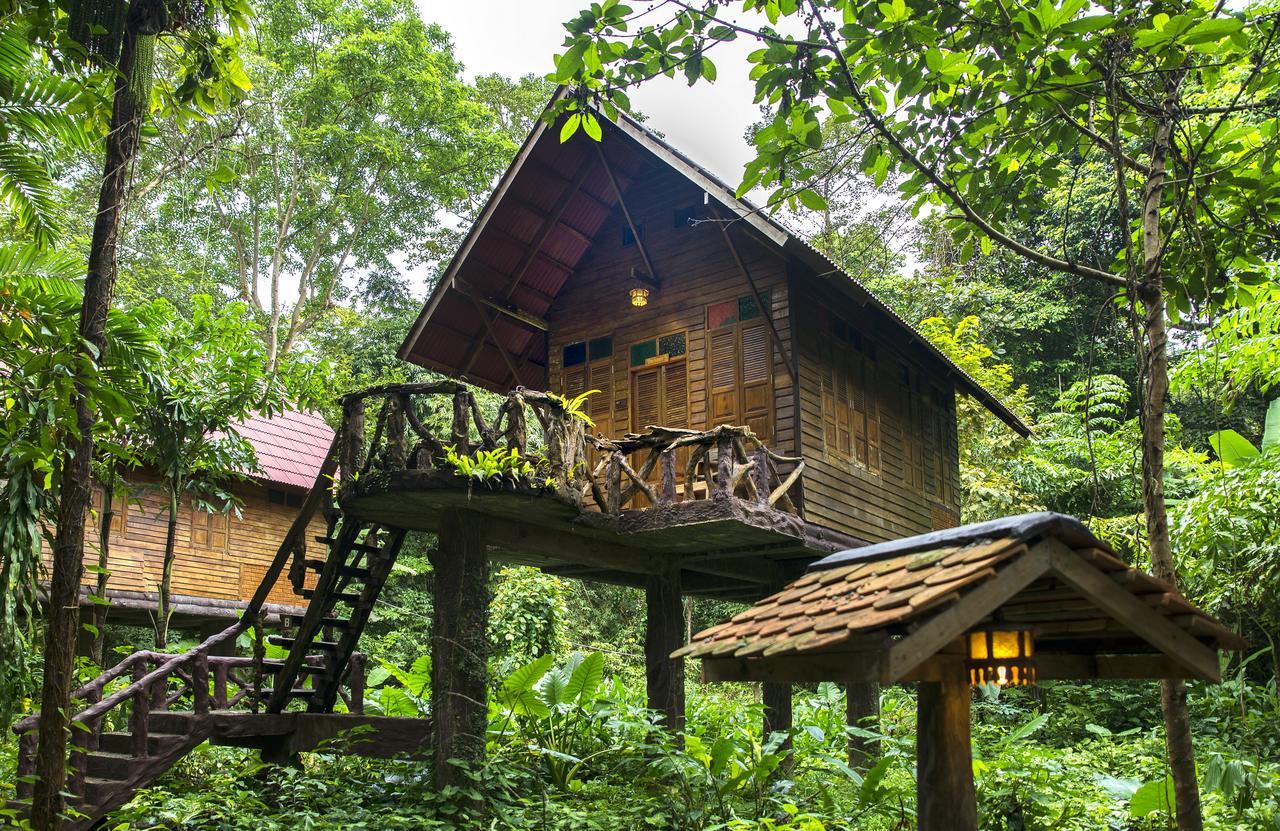 アーツ リバービュー ロッジ Khao Sok National Park エクステリア 写真