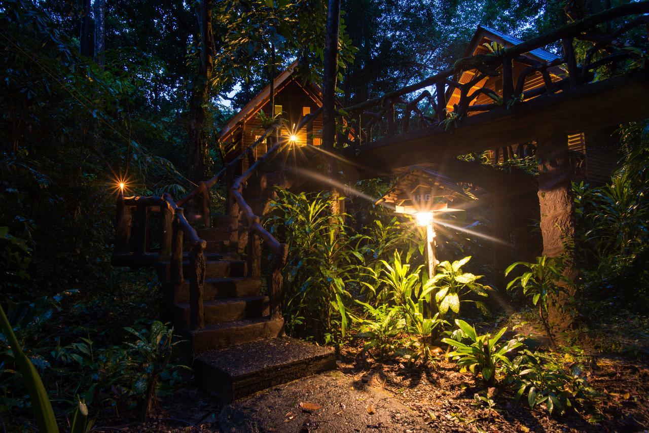 アーツ リバービュー ロッジ Khao Sok National Park エクステリア 写真